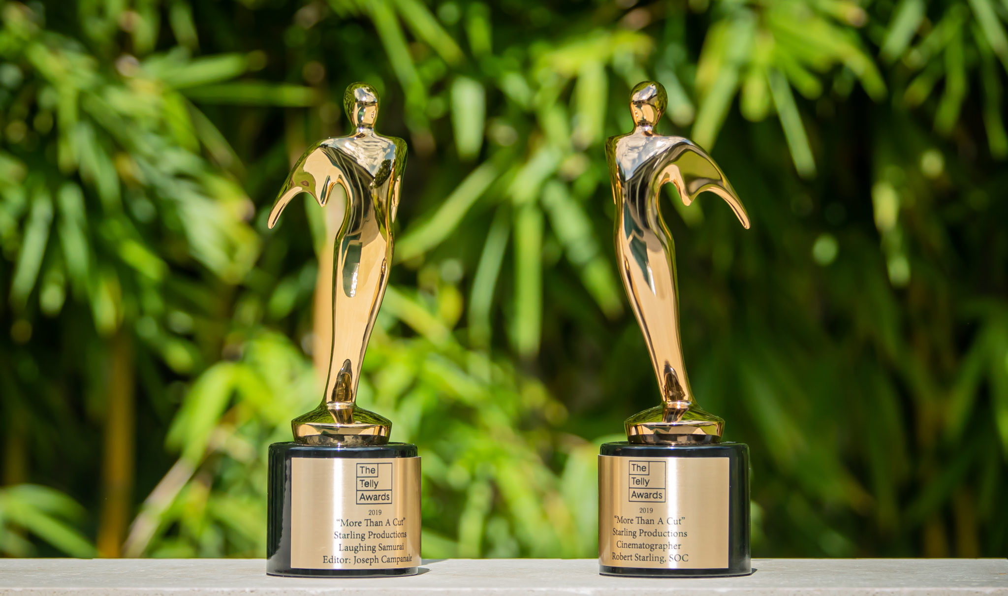 Telly Award Winning Project Starling Productions Orlando Silver Telly